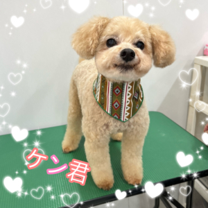♠︎ケン君♠︎