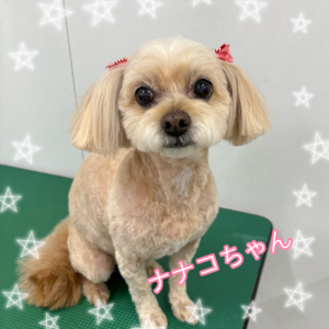♠︎ナナコちゃん♠︎