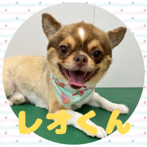 ⭐︎レオくん⭐︎