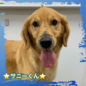 ⭐︎サニーくん⭐︎