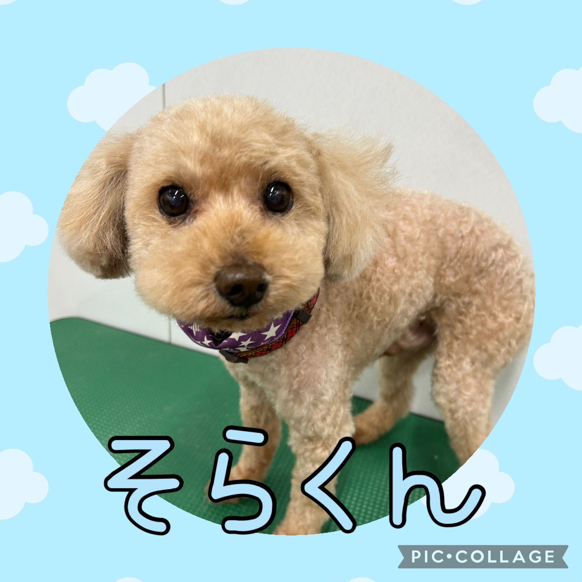 ☆そらくん☆ | ショコラBLOG