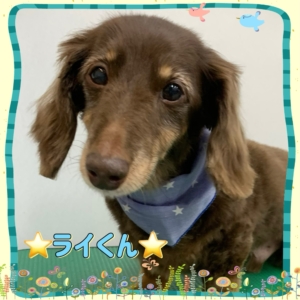 ⭐︎ライくん⭐︎