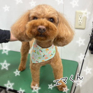 ♠︎エマくん♠︎