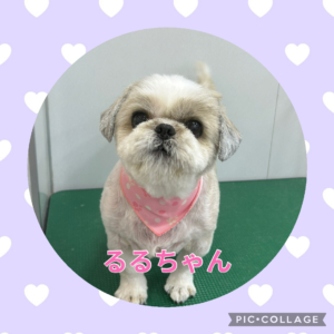 るるちゃん