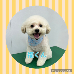 福くん