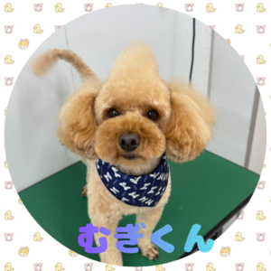 ⭐︎むぎくん⭐︎