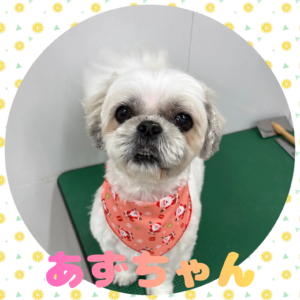 ♡あずちゃん♡