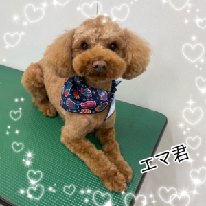 ♠︎エマ君♠︎