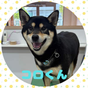 ⭐︎コロくん⭐︎