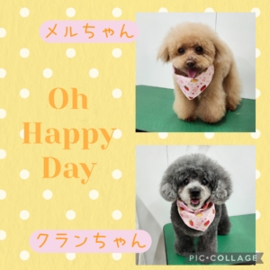 クランちゃんメルちゃん