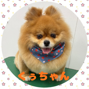 ♡くぅちゃん♡