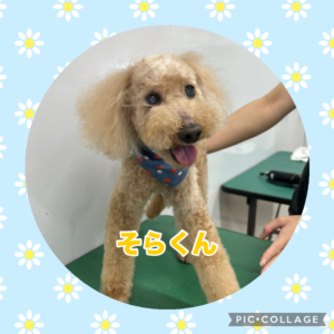 そらくん