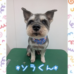 *ソラくん*