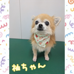 *柚ちゃん*