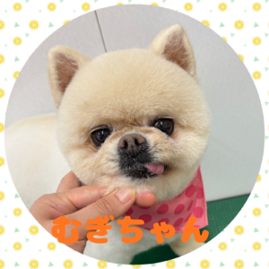 ♡むぎちゃん♡