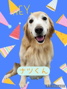 ナツくん