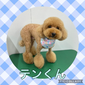 ★テンくん★