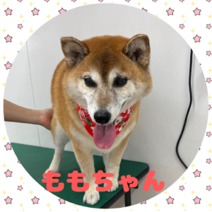 ♡ももちゃん♡