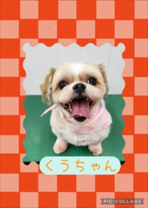 くぅちゃん