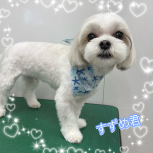 ♠︎すずめ君♠︎