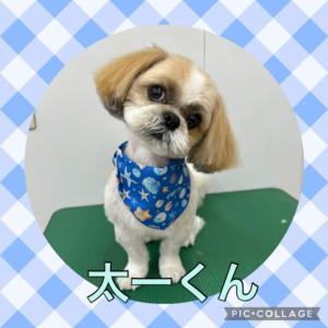 ★太一くん★