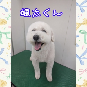 颯太くん