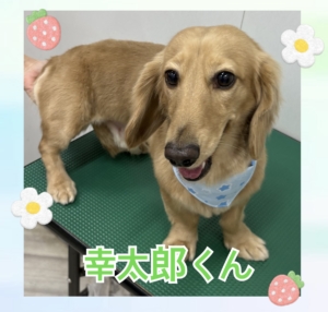幸太郎くん