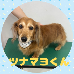 ⭐︎ツナマヨさん⭐︎