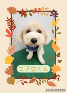 エアロくん